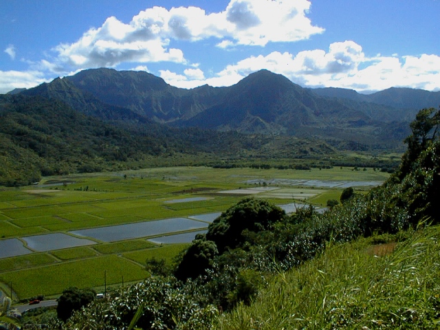 Hanalei Valley